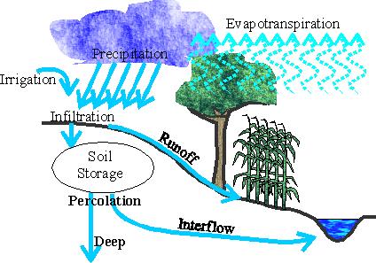 water cycle.JPG